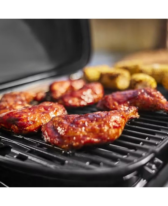 Barbacoa Weber Traveler Mini LP  Portátil, Compacta y Eficiente en Endanea Garden

