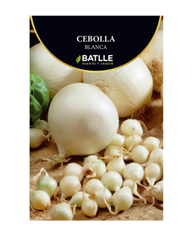 Bulbillo Cebolla Blanca 500gr Batlle Siembra Directa Alta Calidad