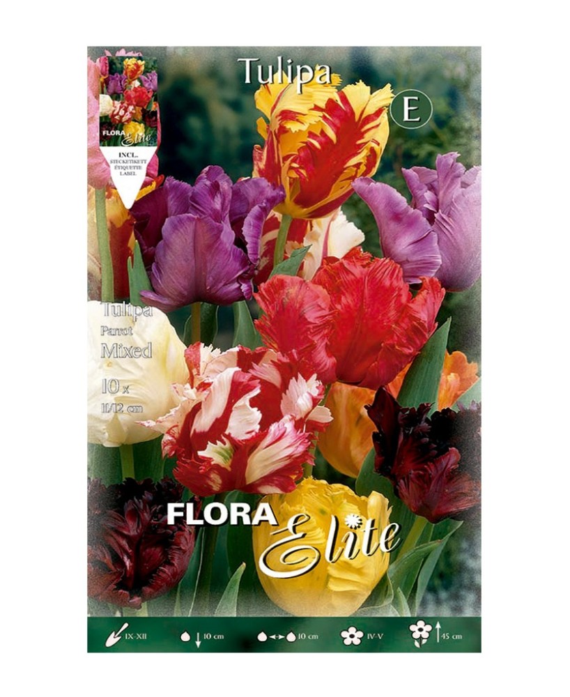 Bulbo Tulipán Papagayo Mezcla 10ud Batlle | Compra Online en Endanea Garden