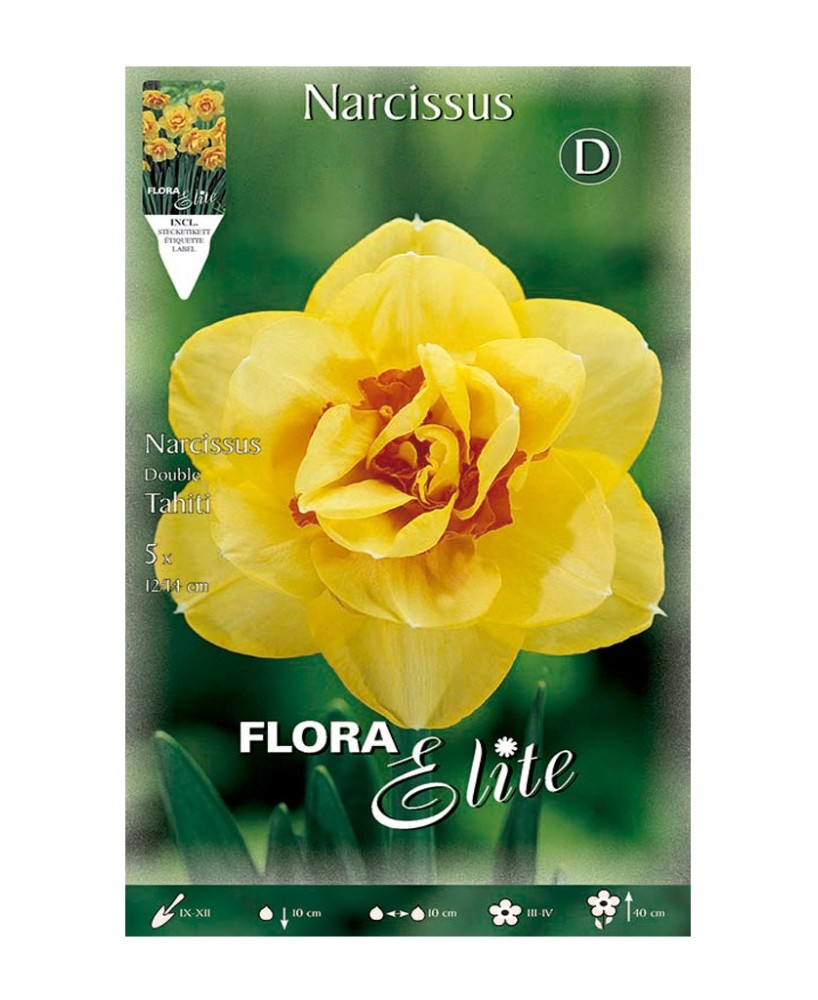 Bulbo Narciso Doble Amarillo Elite 5ud Batlle | Compra Online en Endanea Garden