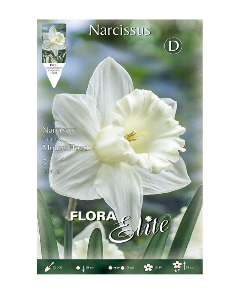 Bulbo Narciso Trompeta Blanco Puro Elite 5ud Batlle | Compra Online en Endanea Garden