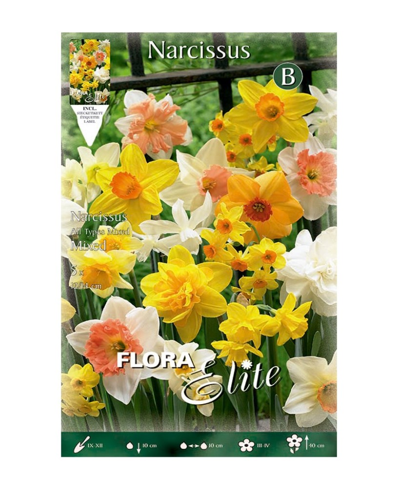 Bulbo Narciso Trompeta Mezcla Elite 5ud Batlle Flores Primavera Jardín
