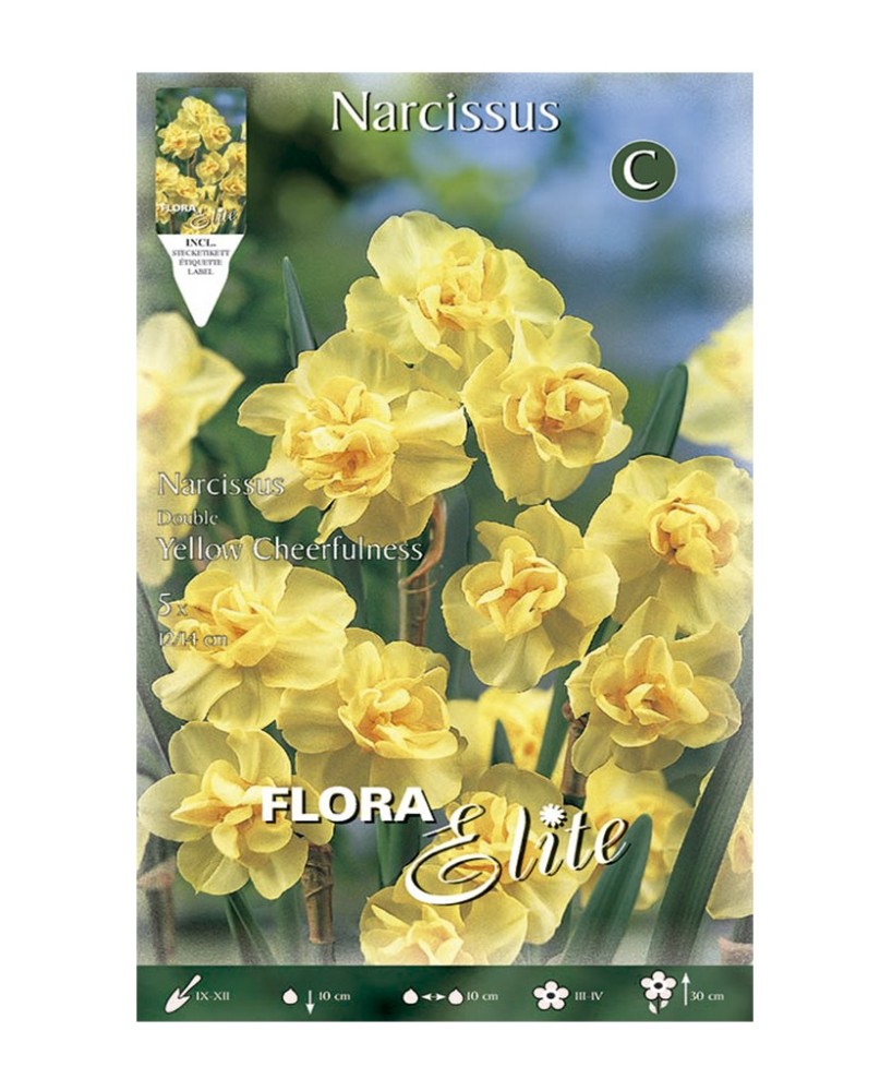 Bulbo Narciso Multiflowered Amarillo Elite 5ud Batlle | Flores Amarillas Primavera