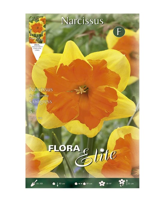 Bulbo Narciso Amarillo Centro Naranja Elite 5ud Batlle para Jardín Primavera