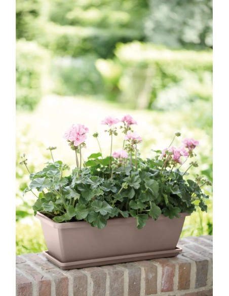 Plato Barcelona 40 cm Topo para Macetas Grandes | Endanea Garden