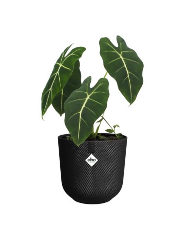 Maceta Jazz Redonda 23cm Negra  Diseño Moderno y Funcional | Endanea Garden