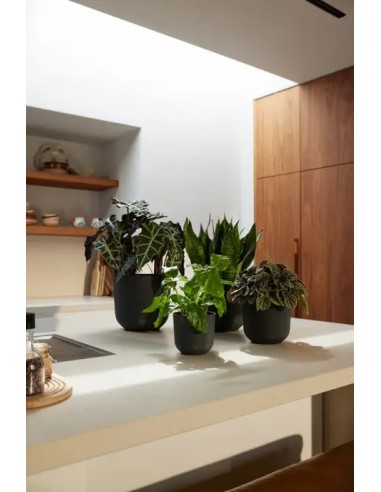 Maceta Jazz Redonda 23cm Negra  Diseño Moderno y Funcional | Endanea Garden
