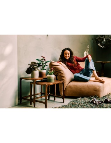 Maceta Redonda 14 cm Beige Arenaria Degradado | Endanea Garden