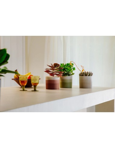 Maceta Redonda 16 cm Verde Bambú Degradado | Endanea Garden
