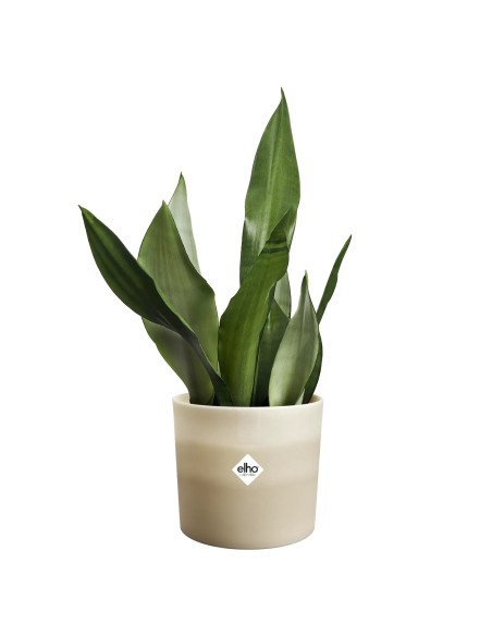 Maceta Redonda 18 cm Beige Arenaria Degradado | Endanea Garden