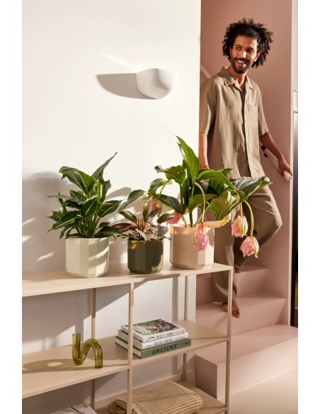 Maceta Facet Redonda 14 cm Rosa Almendra Diseño Moderno y Elegante