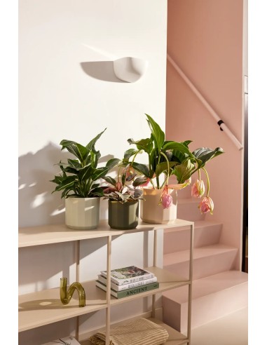 Maceta Facet Redonda 19 cm Rosa Almendra Diseño Moderno y Elegante