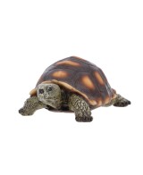 Figura Tortuga M  Decoración natural para jardín o interior | Endanea Garden