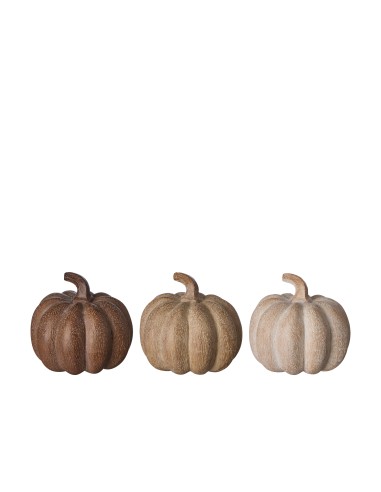 Calabaza Marrón Beige Blanco Decorativa | Estilo Natural y Versátil
