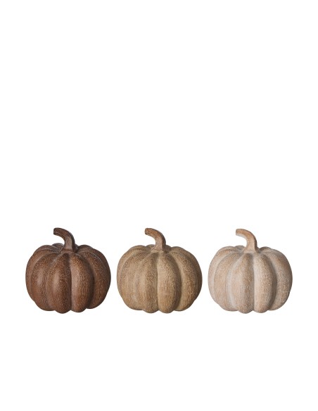 Calabaza Marrón Beige Blanco Decorativa | Estilo Natural y Versátil