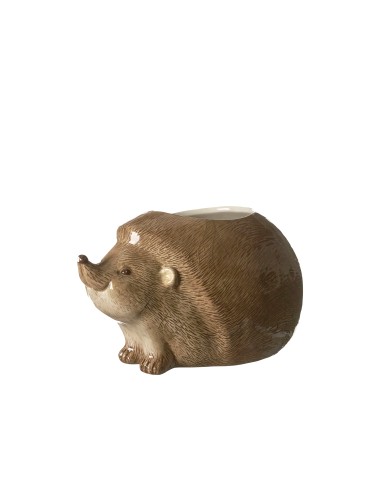 Erizo Maceta Marrón maceta decorativa original para plantas pequeñas