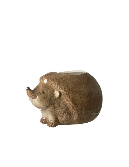 Erizo Maceta Marrón maceta decorativa original para plantas pequeñas