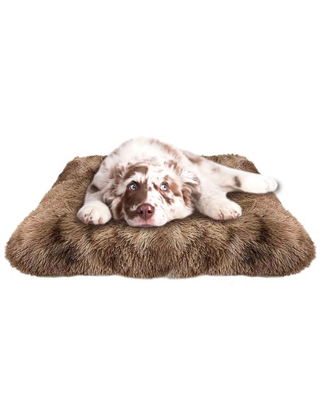 Cuna Premier Silk Marrón 50cm | Confort y elegancia para gatos y perros pequeños  Endanea Mascotas