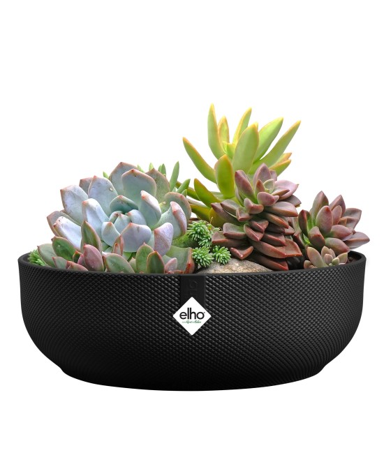 Maceta Jazz Cuenco 28cm Living Negro - Macetas Modernas para Jardín y Hogar