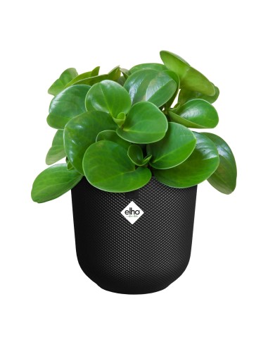 Maceta Jazz Redonda 26cm Living Negra | Elegante y Funcional