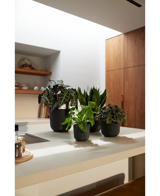 Maceta Jazz Redonda 26cm Living Negra | Elegante y Funcional