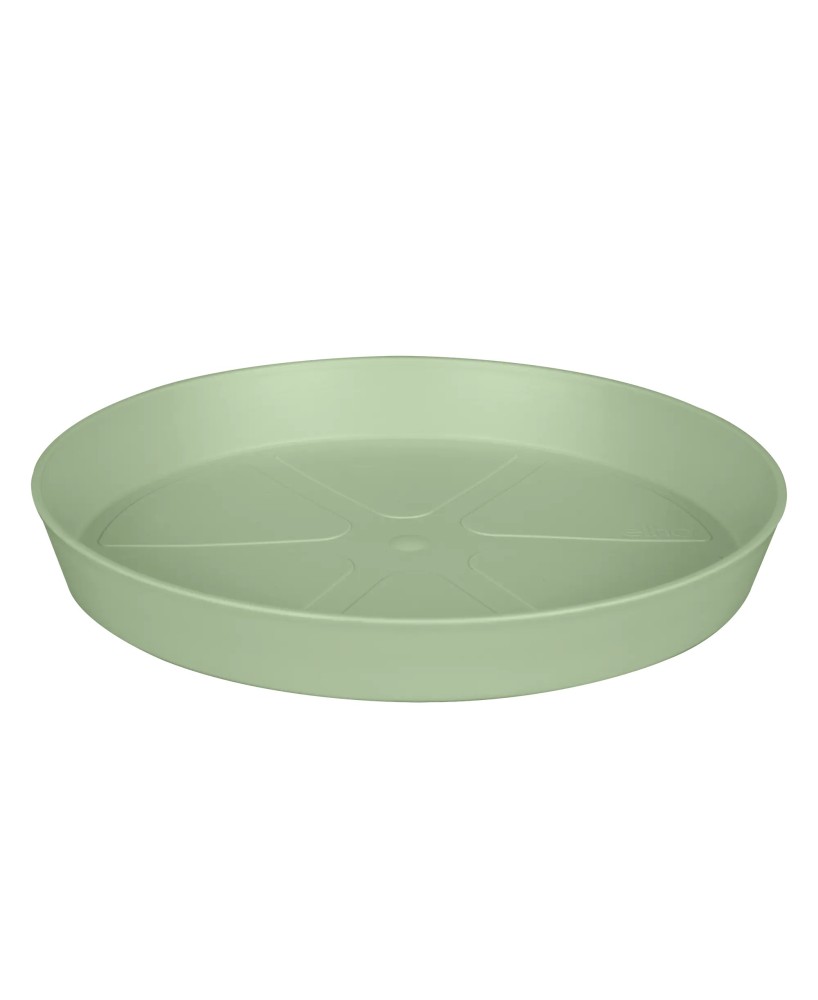 Plato Loft Redondo 24cm Verde Pistacho para Macetas y Jardineras