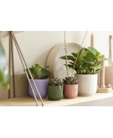 Maceta Vibes Fold Redonda 14cm Lila Claro para interiores y exteriores