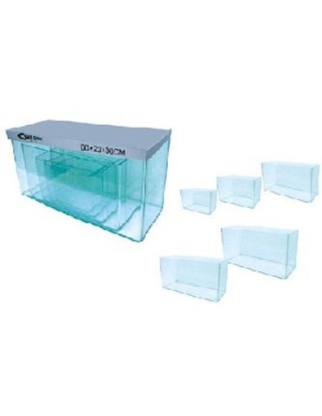 Acuario Cantos Redondos 3  Seguridad y Estilo para Peces de Agua Dulce