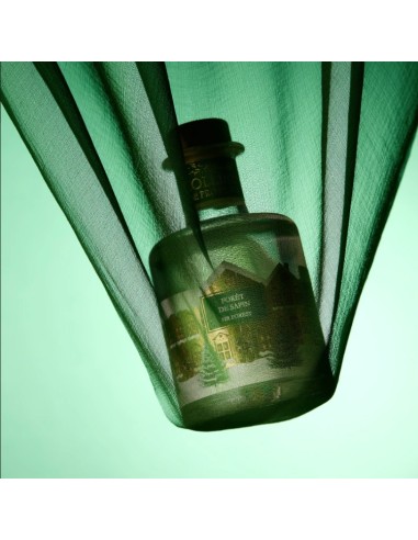 Ramo Perfumado 100ml Bosque de Abeto  Fragancia Natural a Pino y Abeto para el Hogar