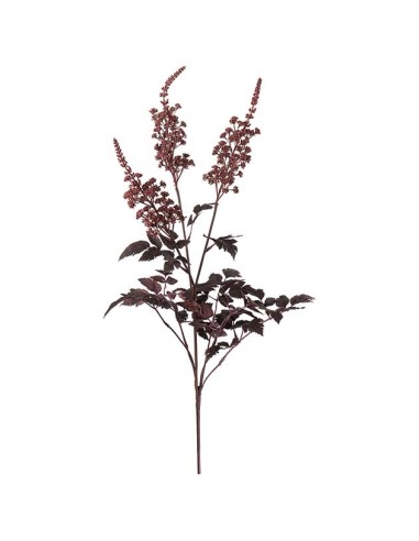Silverax H80cm | Planta ornamental elegante y resistente | Endanea Garden