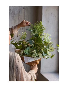 Murgrona H70cm | Planta trepadora ornamental y resistente | Endanea Garden 2