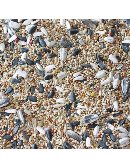 Cotorras Vit Pro Bolsa 5 kg | Alimento completo y nutritivo para cotorras | Endanea Mascotas