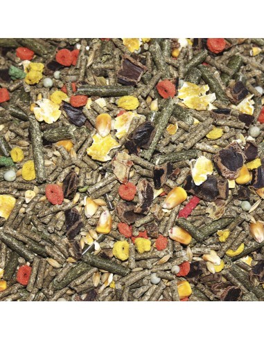 Cobayas Vit Pro Bolsa 5 kg | Alimento completo y equilibrado para cobayas | Endanea Mascotas