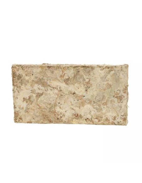 Musgo Deshidratado 250g BRICOMED | Decoración Natural y Jardinería | Endanea Garden