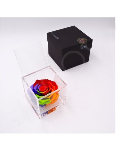 Flower Cube Special Edition Rosa 10x10 Packaging Colore Rainbow | Endanea Garden