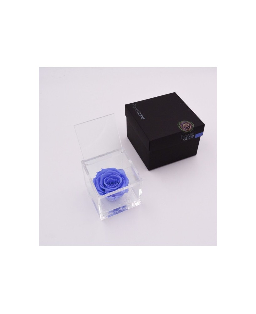Flowercube Rosa 8x8 Packaging Azul Cielo | Rosa Preservada Elegante | Endanea Garden