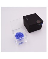 Flowercube Rosa 8x8 Packaging Azul Cielo | Rosa Preservada Elegante | Endanea Garden