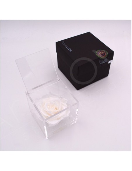 Flowercube Rosa 10x10 Packaging Blanco | Rosa Preservada Elegante | Endanea Garden