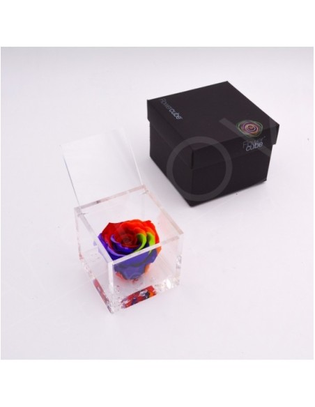 Flowercube Special Edition Rosa 8x8 Colore Rainbow Rosa Preservada Regalo Original