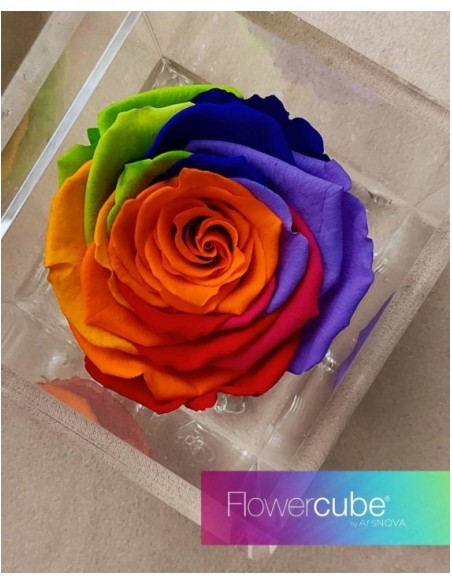 Flowercube Special Edition Rosa 8x8 Colore Rainbow Rosa Preservada Regalo Original