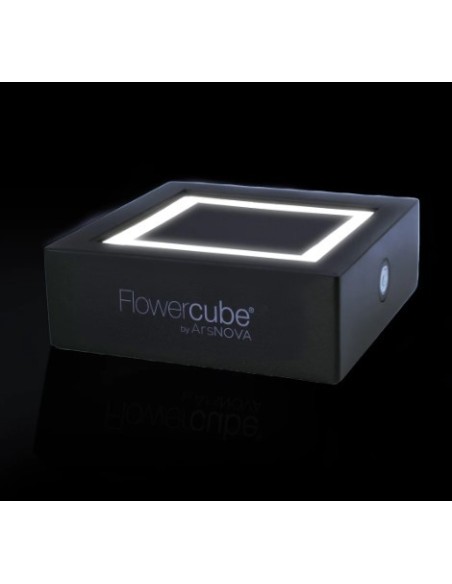 Lámpara LED Flowercube 10x10 Recargable Luz Cálida Decorativa