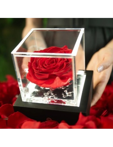Lámpara LED Flowercube 10x10 Recargable Luz Cálida Decorativa
