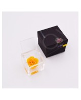 Flowercube Rosa 6x6 Packaging Amarillo Rosa Preservada Regalo Elegante