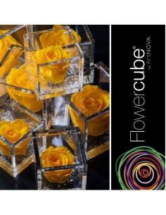 Flowercube Rosa 6x6 Packaging Amarillo Rosa Preservada Regalo Elegante 2