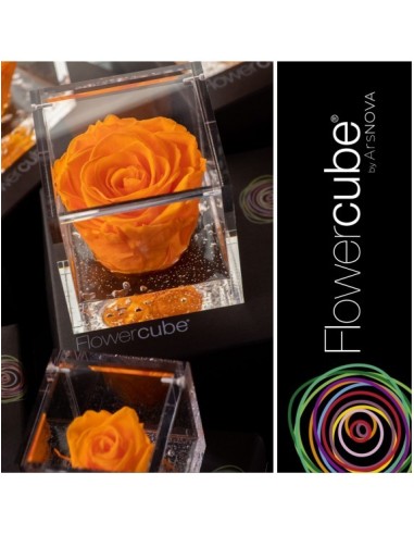 Flowercube Rosa 6x6 Packaging Naranja Regalo Floral Preservado Decoración