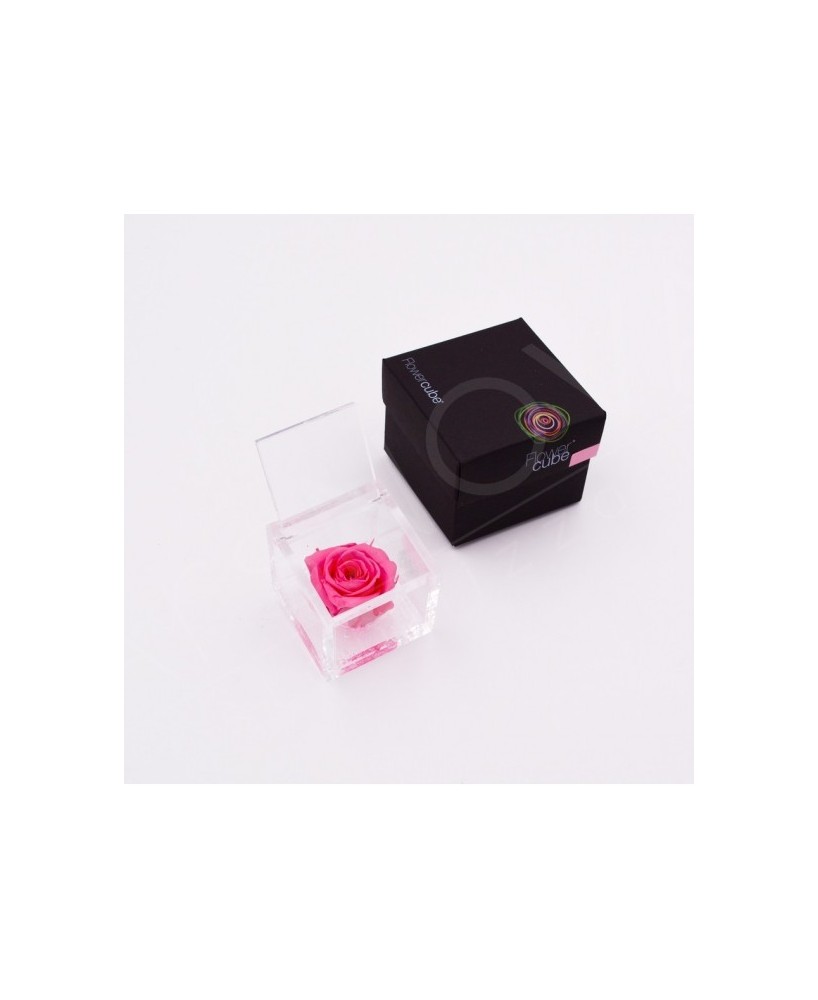 Flowercube Rosa 6x6 Packaging Rosa Regalo Floral Elegante y Duradero
