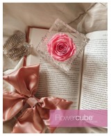 Flowercube Rosa 6x6 Packaging Rosa Regalo Floral Elegante y Duradero