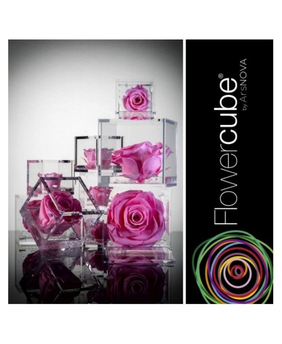 Flowercube Rosa 6x6 Packaging Rosa Regalo Floral Elegante y Duradero