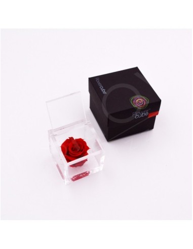 Flowercube Rosa 6x6 con Packaging Rojo Regalo Floral Elegante y Sofisticado