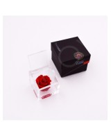 Flowercube Rosa 6x6 con Packaging Rojo Regalo Floral Elegante y Sofisticado